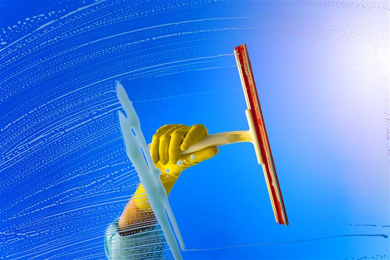 Best Squeegee Technique for Streak-Free Windows: A Simple Step-by-Step Guide