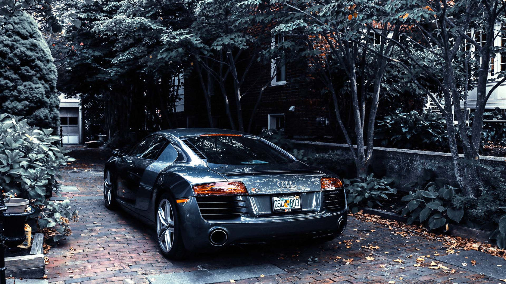 How to Clean tree Sap Off Your Windshield Invisible Glass
