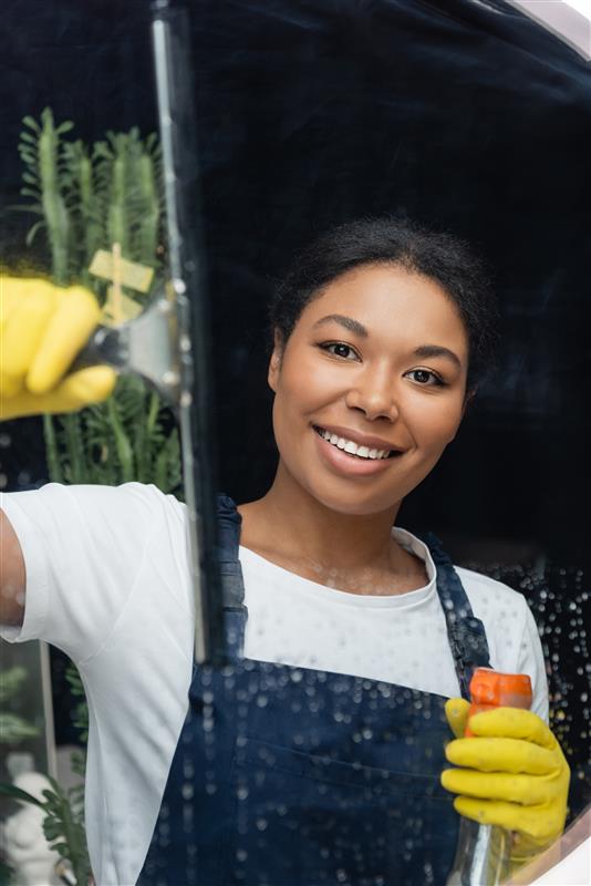 Can You Clean Glass with Just Water?