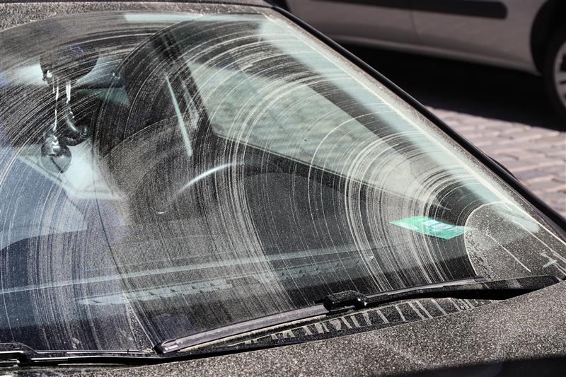 How to Clean Pollen Off Glass: Streak-Free Tips for Cars and Windows
