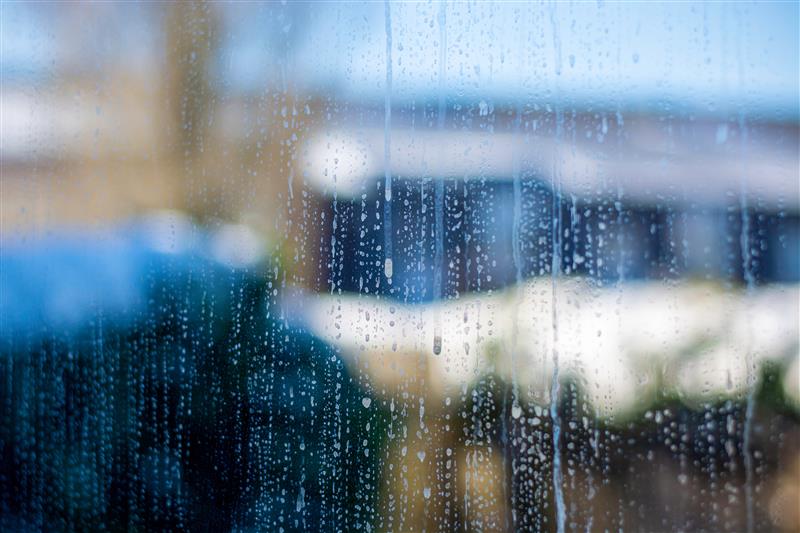 How to Keep Glass Cleaner Longer: Easy Tips to Prevent Dirt & Smudges